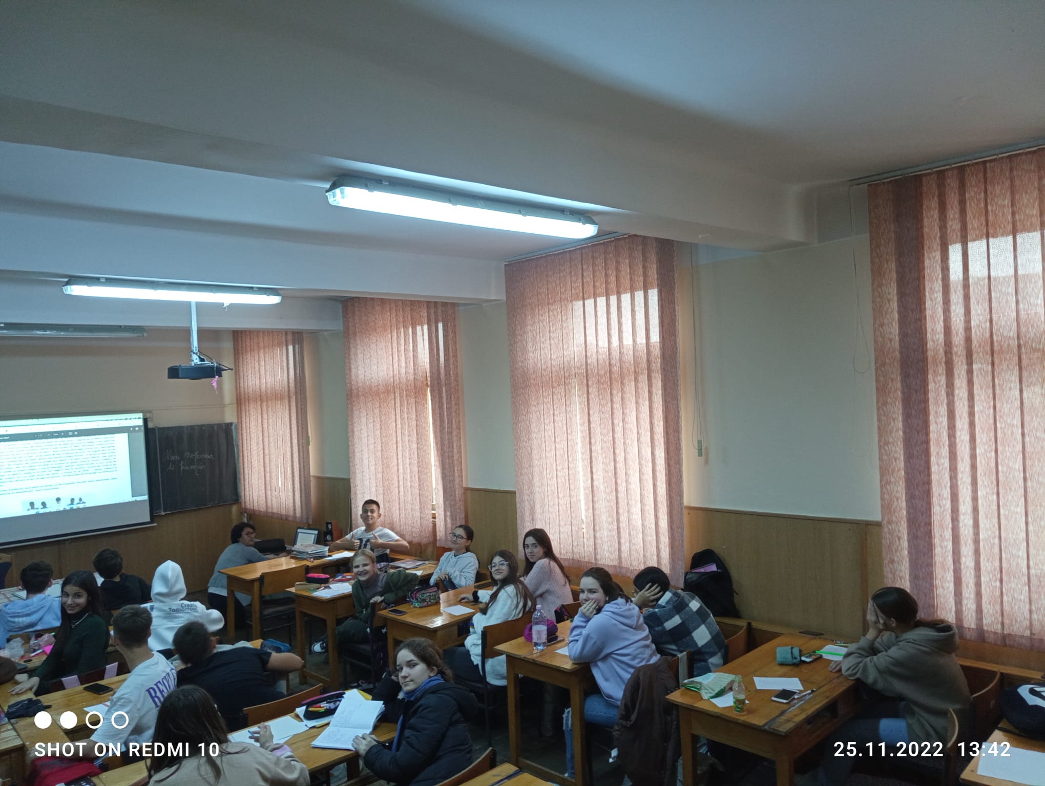 Activitate limba franceză