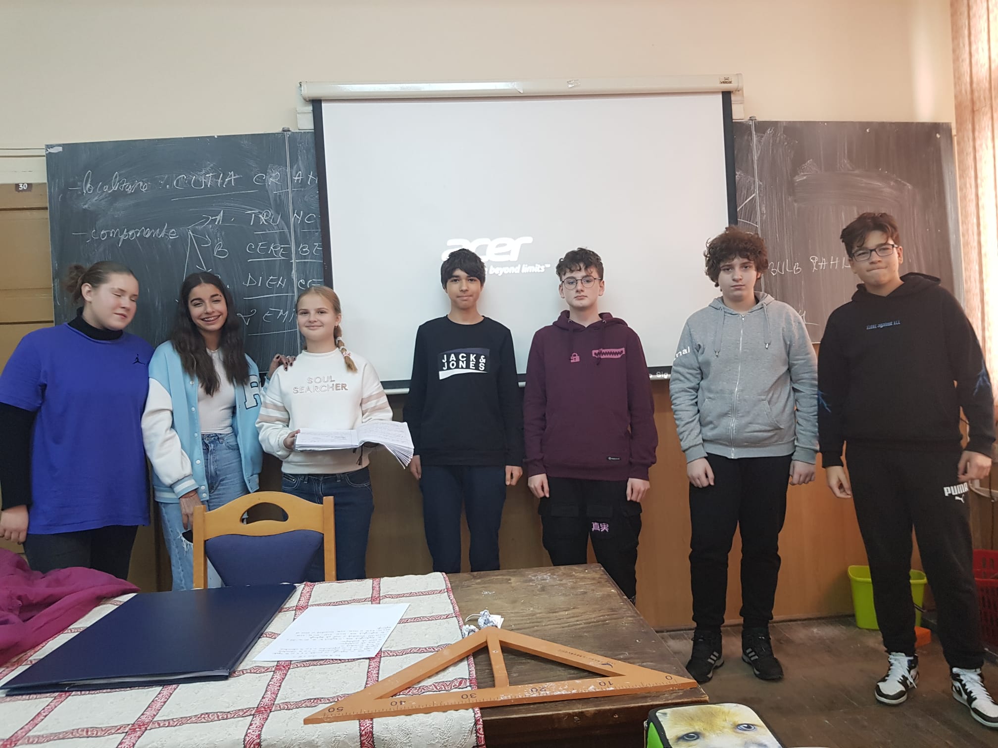 Limba română proiecte